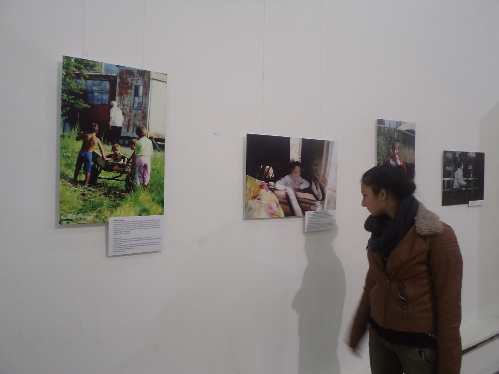 մարդու իրավունքներ, ցուցահանդես