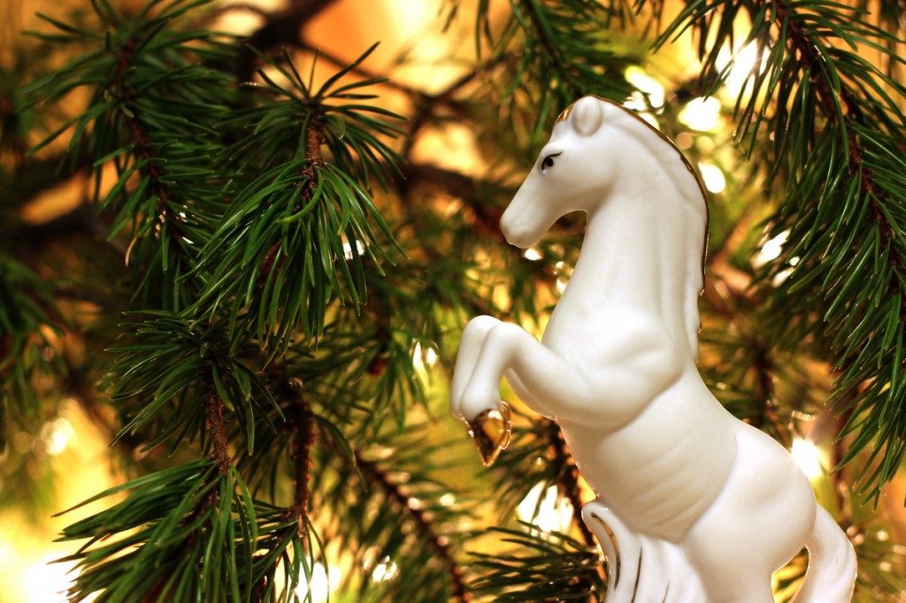 White horse in the new year