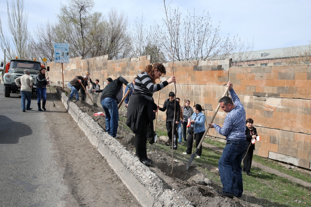 800 բարդի է տնկվում Նուբարաշեն վարչական շրջան տանող ճանապարհահատված 