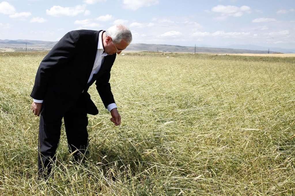 ՀՀ գյուղատնտեսության նախարար Սերգո Կարապետյանն  այցելել է Շիրակի մարզի կարկտահարված դաշտեր