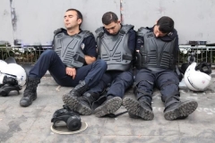 «Գեզի» այգու համար պայքարի 19-րդ օրը