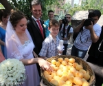 Blessing of apricots in frames of the 10th âGolden Apricotâ International Film Festival took place at St. Zoravor church in Yerevan