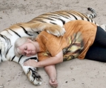 pet-tiger