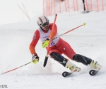 Men's giant slalom run, alpine skiing, Pan-Armenian Winter Games 2014