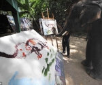 elephant-bangkok4