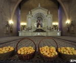 Ceremony of apricot blessing in frames of the 11th Golden Apricot International Film Festival (GAIFF) took place at Yerevanâs Saint Grigor Lusavorich church