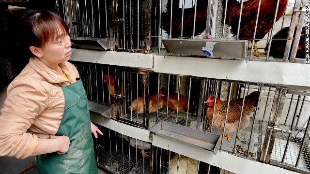New bird flu strain: 5 things to know
