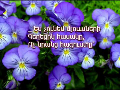 Фиалка